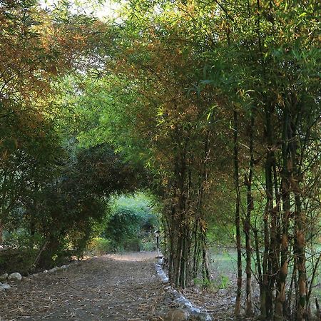 Parwati Wild Abode Corbett Resort Dhela Bagian luar foto