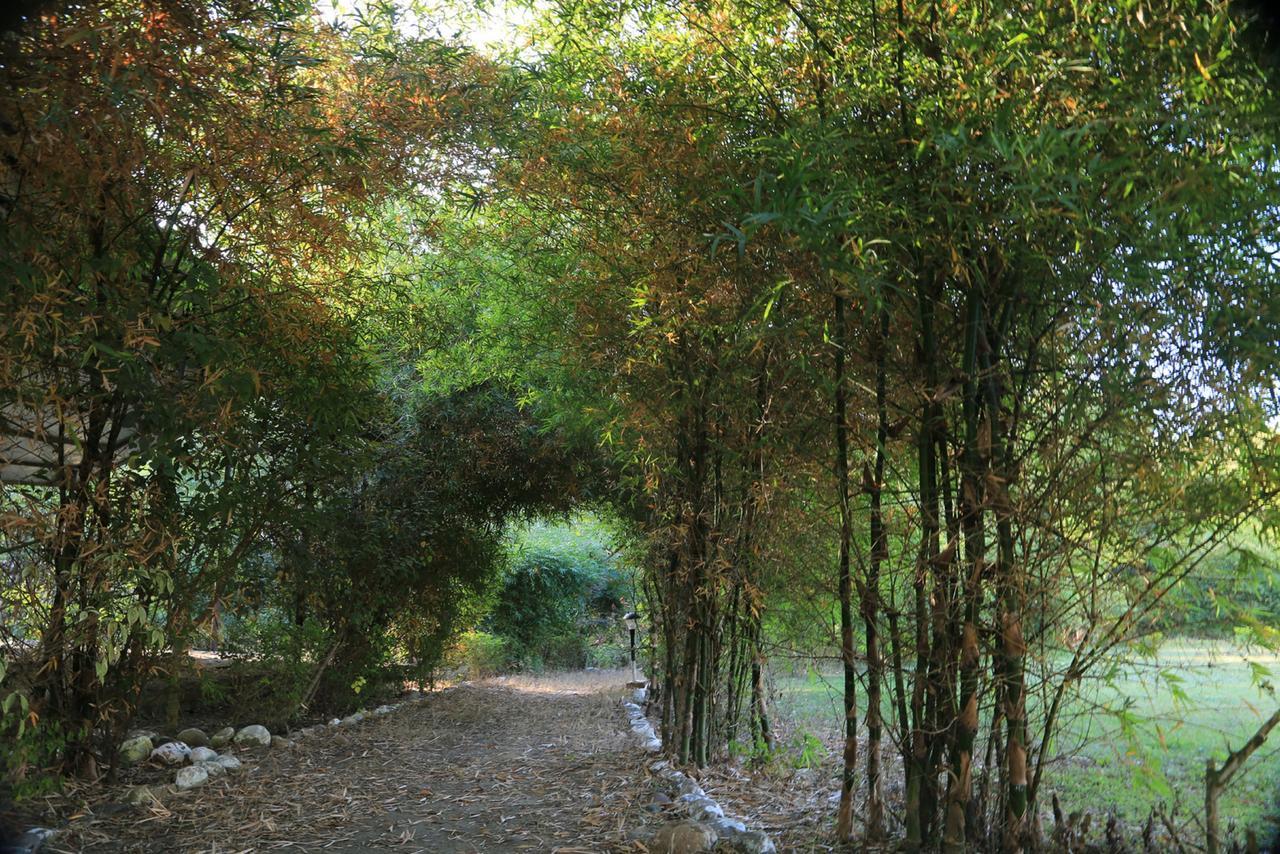 Parwati Wild Abode Corbett Resort Dhela Bagian luar foto